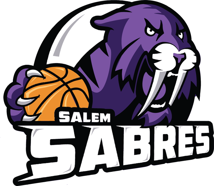 Salem Sabres 2013-Pres Primary Logo iron on transfers for clothing